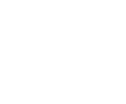 Evolution games at Spin Fortune Online Casino